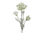 Dill spray