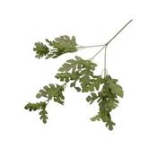 Dusty Miller Spray