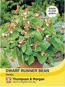 Dwarf Runner Bean Hestia