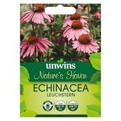 Echinacea Leuchstern (50) image