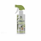 Emerald Mist Indoor Plants (500ml)