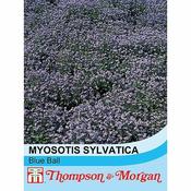 Forget-me-not 'Blue Ball' (450) image