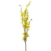 Forsythia Spray image
