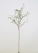 Fortune Fruit Single Branch