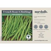 French Bean (Climbing) Cobra (Organic) (25)