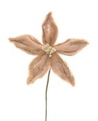 Fur grey flower on pick image