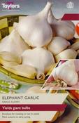 Garlic Elephant (2 cloves) image
