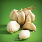 Garlic 'Elephant' (3 Cloves) image