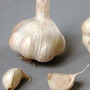 Garlic 'Sabadrome' (3 bulbs) image