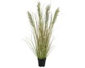 Grass in pot image