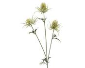 Green Thistle spray