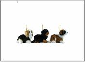 Hanging Dog
