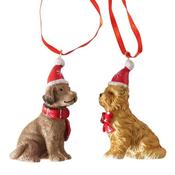 Hanging Dog with Christmas Hat