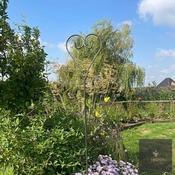 Heart shaped garden support