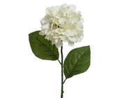 Hydrangea polyester image