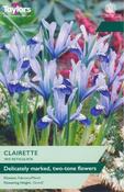 Iris Reticulata 'Clairette' (10 bulbs) image