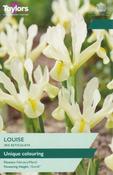 Iris Reticulata Louise (9 bulbs)