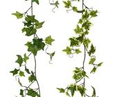 Ivy Garland