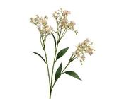 Jasmine Flower Polyester image