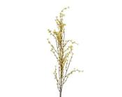 Jasmine Stem image