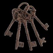 Key ring