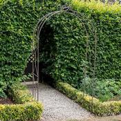 Knotted Arch