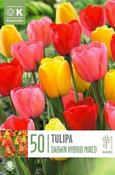 Landscape Bag Tulipa Darwin Hybrid Mix (50 bulbs)