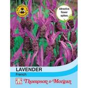 Lavender French (50)