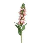 Light Pink Foxglove Stem