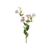 Lislanthus spray