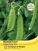 Mangetout Oregon Sugar Pod