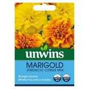 Marigold French Citrus Mix (50)