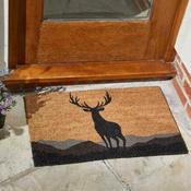 Monarch Decoir Mat (45x75cm) image