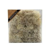 Moss in Box