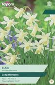 Narcissus Elka (8 bulbs)