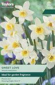 Narcissus Sweet Love (8 bulbs) image