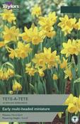 Narcissus 'Tete A Tete' (18 bulbs) image