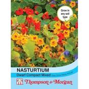 Nasturtium Dwarf Compact Mixed (50) image