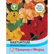 Nasturtium Whirlybird Mixed (25) image