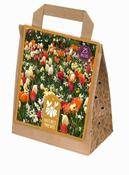 Nature's Friends Sunshine (25 bulbs) image