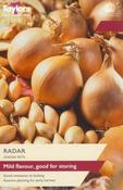 Onion Radar (50 bulbs)