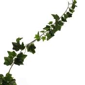 Outdoor English Ivy Garland image
