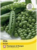 Pea Boogie image