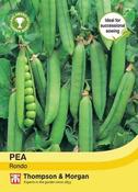 Pea Rondo image