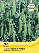 Pea “Terrain”