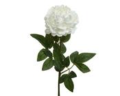 Peony Polyester image