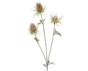 Pink Thistle spray
