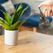 Plant Mister image