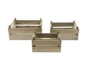 Planter Yara Large