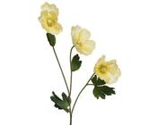 Poppy on stem image